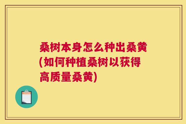 桑树本身怎么种出桑黄(如何种植桑树以获得高质量桑黄)