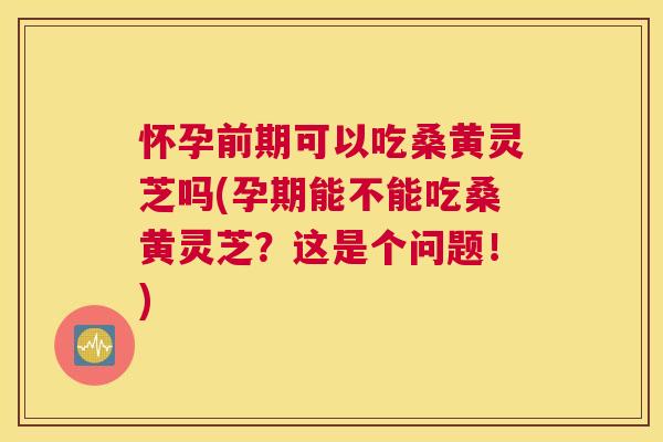 怀孕前期可以吃桑黄灵芝吗(孕期能不能吃桑黄灵芝?这是个问题!) 怀孕前期可以吃桑黄灵芝吗(孕期能不能吃桑黄灵芝?这是个问题!)