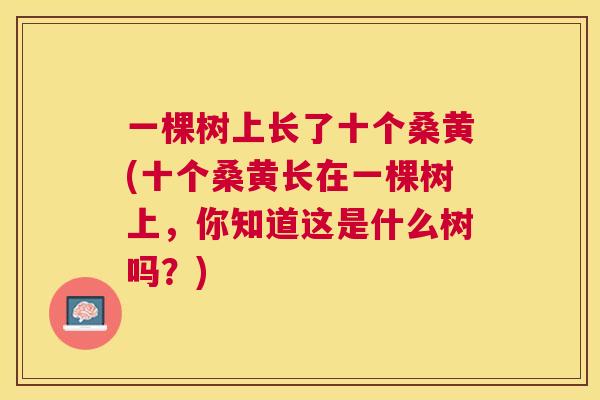 一棵树上长了十个桑黄(十个桑黄长在一棵树上,你知道这是什么树吗?) 一棵树上长了十个桑黄(十个桑黄长在一棵树上,你知道这是什么树吗?)