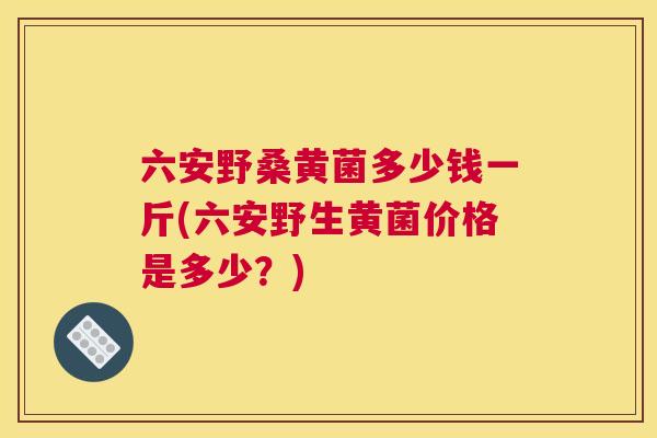 六安野桑黄菌多少钱一斤(六安野生黄菌价格是多少?) 六安野桑黄菌多少钱一斤(六安野生黄菌价格是多少?)