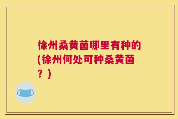 徐州桑黄菌哪里有种的(徐州何处可种桑黄菌?) 徐州桑黄菌哪里有种的(徐州何处可种桑黄菌?)