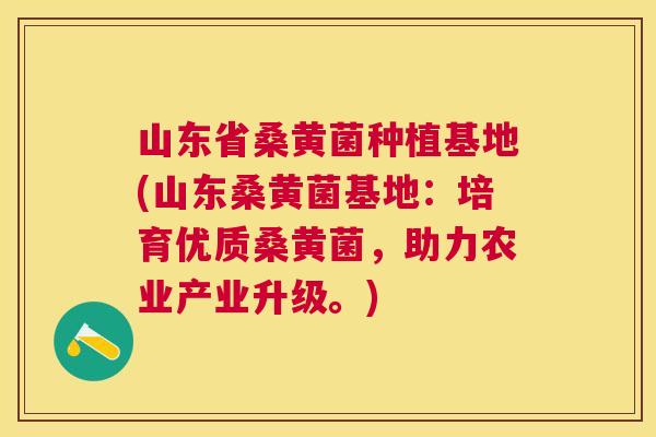 山东省桑黄菌种植基地(山东桑黄菌基地:培育优质桑黄菌,助力农业产业升级。) 山东省桑黄菌种植基地(山东桑黄菌基地:培育优质桑黄菌,助力农业产业升级。)