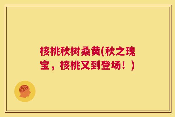 核桃秋树桑黄(秋之瑰宝,核桃又到登场!) 核桃秋树桑黄(秋之瑰宝,核桃又到登场!)