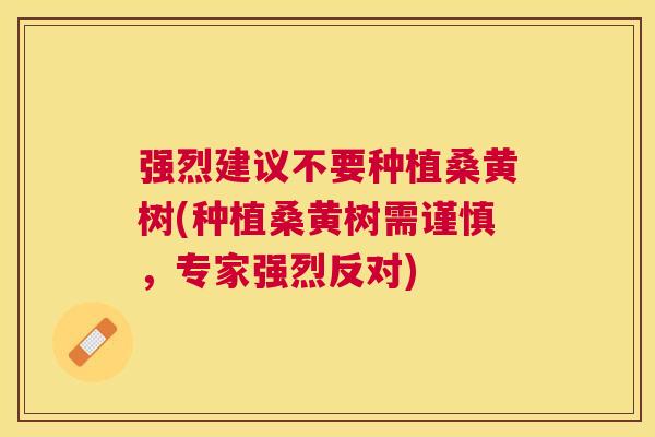 强烈建议不要种植桑黄树(种植桑黄树需谨慎,专家强烈反对) 强烈建议不要种植桑黄树(种植桑黄树需谨慎,专家强烈反对)