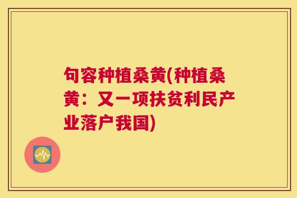 句容种植桑黄(种植桑黄:又一项扶贫利民产业落户我国) 句容种植桑黄(种植桑黄:又一项扶贫利民产业落户我国)