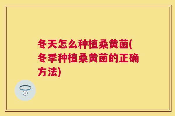 冬天怎么种植桑黄菌(冬季种植桑黄菌的正确方法) 冬天怎么种植桑黄菌(冬季种植桑黄菌的正确方法)