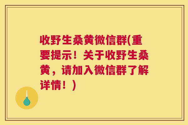 收野生桑黄微信群(重要提示!关于收野生桑黄,请加入微信群了解详情!) 收野生桑黄微信群(重要提示!关于收野生桑黄,请加入微信群了解详情!)