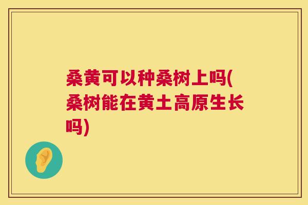 桑黄可以种桑树上吗(桑树能在黄土高原生长吗) 桑黄可以种桑树上吗(桑树能在黄土高原生长吗)