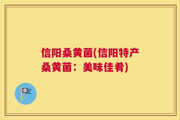 信阳桑黄菌(信阳特产桑黄菌:美味佳肴) 信阳桑黄菌(信阳特产桑黄菌:美味佳肴)