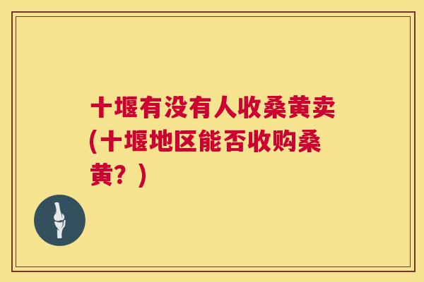 十堰有没有人收桑黄卖(十堰地区能否收购桑黄?) 十堰有没有人收桑黄卖(十堰地区能否收购桑黄?)