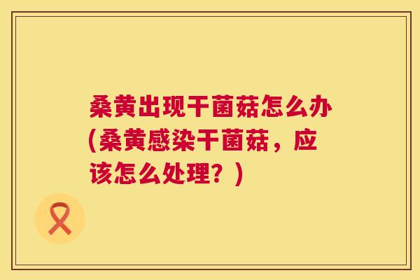 桑黄出现干菌菇怎么办(桑黄干菌菇,应该怎么处理?) 桑黄出现干菌菇怎么办(桑黄干菌菇,应该怎么处理?)