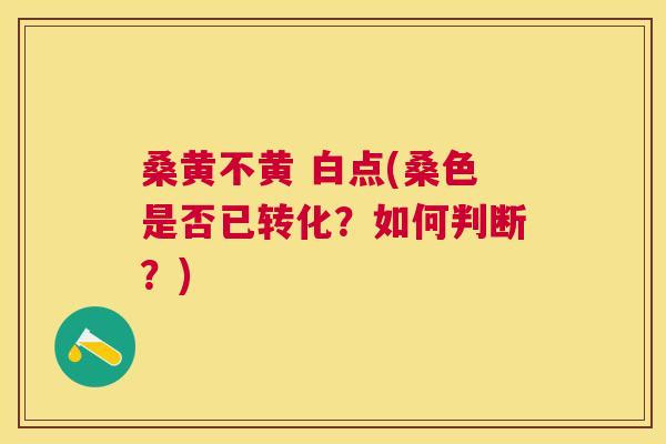 桑黄不黄 白点(桑色是否已转化?如何判断?) 桑黄不黄 白点(桑色是否已转化?如何判断?)