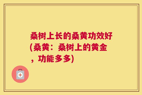 桑树上长的桑黄功效好(桑黄:桑树上的黄金,功能多多) 桑树上长的桑黄功效好(桑黄:桑树上的黄金,功能多多)