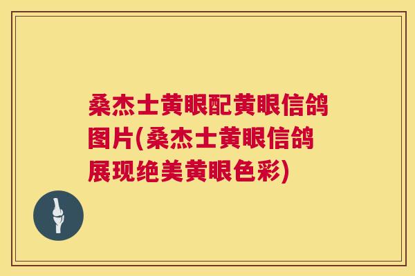 桑杰士黄眼配黄眼信鸽图片(桑杰士黄眼信鸽展现绝美黄眼色彩) 桑杰士黄眼配黄眼信鸽图片(桑杰士黄眼信鸽展现绝美黄眼色彩)