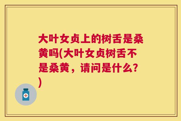 大叶女贞上的树舌是桑黄吗(大叶女贞树舌不是桑黄,请问是什么?) 大叶女贞上的树舌是桑黄吗(大叶女贞树舌不是桑黄,请问是什么?)