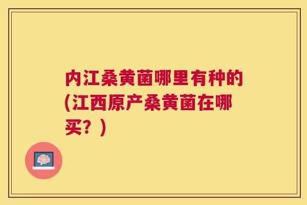 内江桑黄菌哪里有种的(江西原产桑黄菌在哪买？)