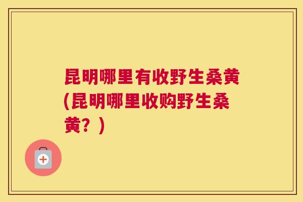 昆明哪里有收野生桑黄(昆明哪里收购野生桑黄?) 昆明哪里有收野生桑黄(昆明哪里收购野生桑黄?)