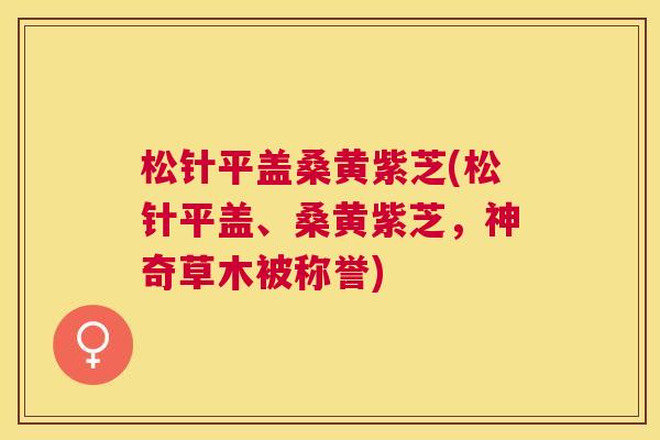松针平盖桑黄紫芝(松针平盖、桑黄紫芝,神奇草木被称誉) 松针平盖桑黄紫芝(松针平盖、桑黄紫芝,神奇草木被称誉)