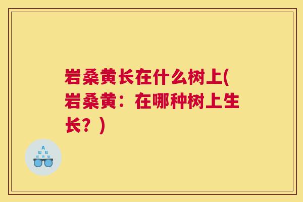 岩桑黄长在什么树上(岩桑黄:在哪种树上生长?) 岩桑黄长在什么树上(岩桑黄:在哪种树上生长?)