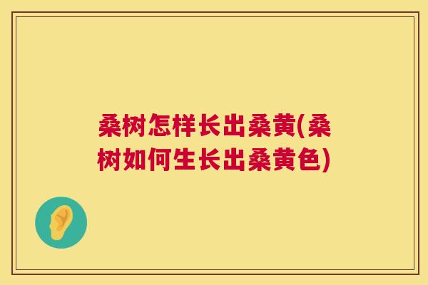 桑树怎样长出桑黄(桑树如何生长出桑黄色) 桑树怎样长出桑黄(桑树如何生长出桑黄色)