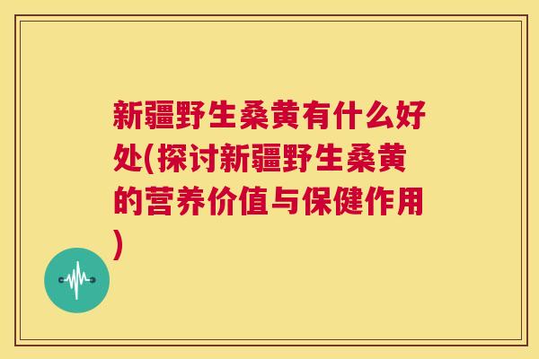新疆野生桑黄有什么好处(探讨新疆野生桑黄的营养价值与保健作用) 新疆野生桑黄有什么好处(探讨新疆野生桑黄的营养价值与保健作用)