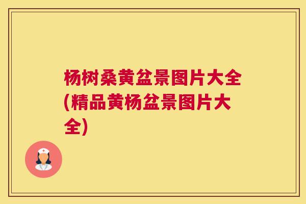 杨树桑黄盆景图片大全(精品黄杨盆景图片大全) 杨树桑黄盆景图片大全(精品黄杨盆景图片大全)