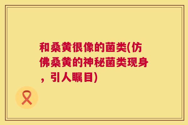 和桑黄很像的菌类(仿佛桑黄的神秘菌类现身,引人瞩目) 和桑黄很像的菌类(仿佛桑黄的神秘菌类现身,引人瞩目)