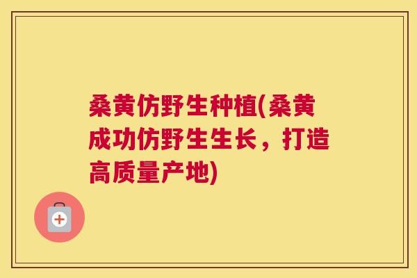桑黄仿野生种植(桑黄成功仿野生生长,打造高质量产地) 桑黄仿野生种植(桑黄成功仿野生生长,打造高质量产地)