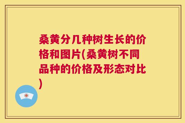 桑黄分几种树生长的价格和图片(桑黄树不同品种的价格及形态对比) 桑黄分几种树生长的价格和图片(桑黄树不同品种的价格及形态对比)