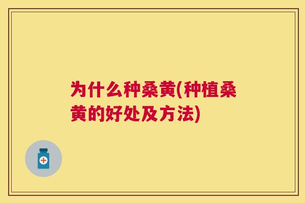 为什么种桑黄(种植桑黄的好处及方法) 为什么种桑黄(种植桑黄的好处及方法)