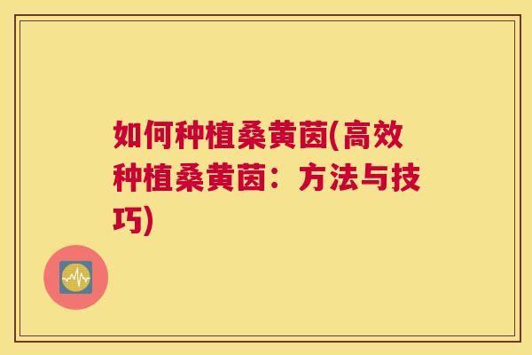 如何种植桑黄茵(高效种植桑黄茵:方法与技巧) 如何种植桑黄茵(高效种植桑黄茵:方法与技巧)