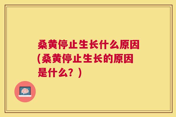 桑黄停止生长什么原因(桑黄停止生长的原因是什么?) 桑黄停止生长什么原因(桑黄停止生长的原因是什么?)