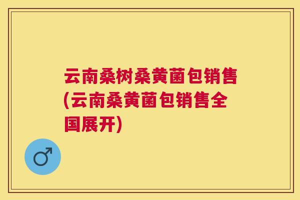 云南桑树桑黄菌包销售(云南桑黄菌包销售全国展开) 云南桑树桑黄菌包销售(云南桑黄菌包销售全国展开)