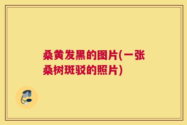 桑黄发黑的图片(一张桑树斑驳的照片) 桑黄发黑的图片(一张桑树斑驳的照片)