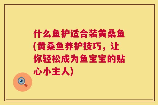 什么鱼护适合装黄桑鱼(黄桑鱼养护技巧,让你轻松成为鱼宝宝的贴心小主人) 什么鱼护适合装黄桑鱼(黄桑鱼养护技巧,让你轻松成为鱼宝宝的贴心小主人)