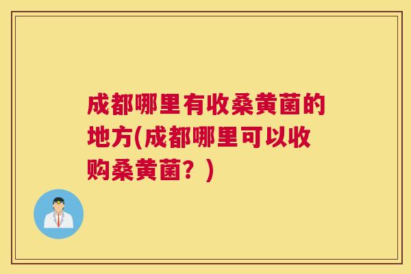 成都哪里有收桑黄菌的地方(成都哪里可以收购桑黄菌?) 成都哪里有收桑黄菌的地方(成都哪里可以收购桑黄菌?)