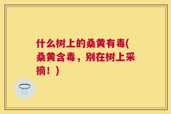 什么树上的桑黄有毒(桑黄含毒,别在树上采摘!) 什么树上的桑黄有毒(桑黄含毒,别在树上采摘!)