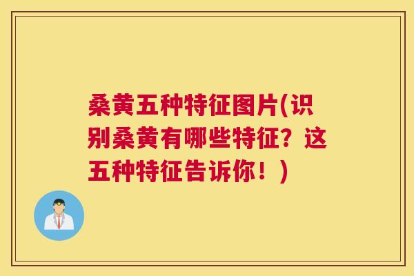 桑黄五种特征图片(识别桑黄有哪些特征?这五种特征告诉你!) 桑黄五种特征图片(识别桑黄有哪些特征?这五种特征告诉你!)