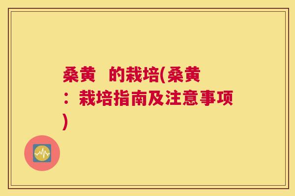 桑黄 的栽培(桑黄:栽培指南及注意事项) 桑黄 的栽培(桑黄:栽培指南及注意事项)