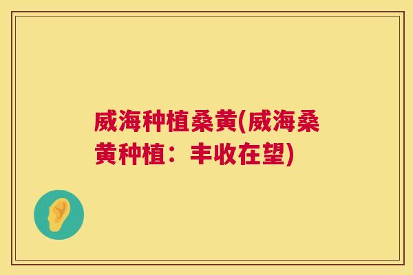 威海种植桑黄(威海桑黄种植:丰收在望) 威海种植桑黄(威海桑黄种植:丰收在望)