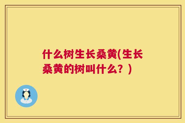 什么树生长桑黄(生长桑黄的树叫什么?) 什么树生长桑黄(生长桑黄的树叫什么?)
