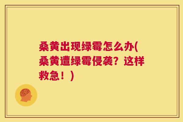 桑黄出现绿霉怎么办(桑黄遭绿霉侵袭?这样救急!) 桑黄出现绿霉怎么办(桑黄遭绿霉侵袭?这样救急!)