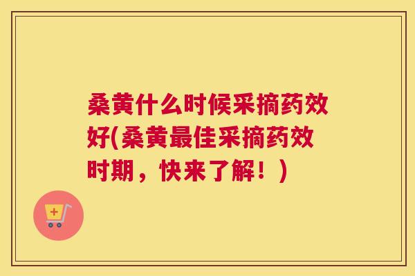 桑黄什么时候采摘好(桑黄佳采摘时期,快来了解!) 桑黄什么时候采摘好(桑黄佳采摘时期,快来了解!)