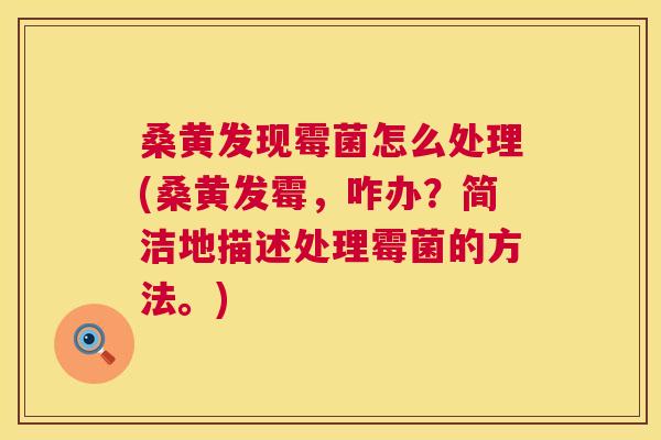 桑黄发现霉菌怎么处理(桑黄发霉,咋办?简洁地描述处理霉菌的方法。) 桑黄发现霉菌怎么处理(桑黄发霉,咋办?简洁地描述处理霉菌的方法。)