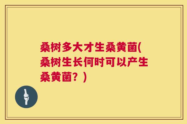 桑树多大才生桑黄菌(桑树生长何时可以产生桑黄菌?) 桑树多大才生桑黄菌(桑树生长何时可以产生桑黄菌?)