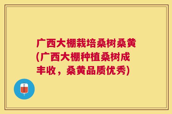 广西大棚栽培桑树桑黄(广西大棚种植桑树成丰收,桑黄品质优秀) 广西大棚栽培桑树桑黄(广西大棚种植桑树成丰收,桑黄品质优秀)