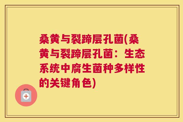 桑黄与裂蹄层孔菌(桑黄与裂蹄层孔菌:生态系统中腐生菌种多样性的关键角色) 桑黄与裂蹄层孔菌(桑黄与裂蹄层孔菌:生态系统中腐生菌种多样性的关键角色)