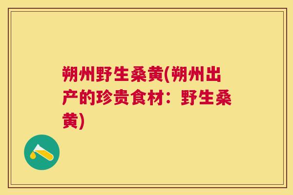 朔州野生桑黄(朔州出产的珍贵食材:野生桑黄) 朔州野生桑黄(朔州出产的珍贵食材:野生桑黄)