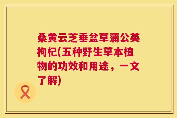 桑黄云芝垂盆草蒲公英枸杞(五种野生草本植物的功效和用途,一文了解) 桑黄云芝垂盆草蒲公英枸杞(五种野生草本植物的功效和用途,一文了解)