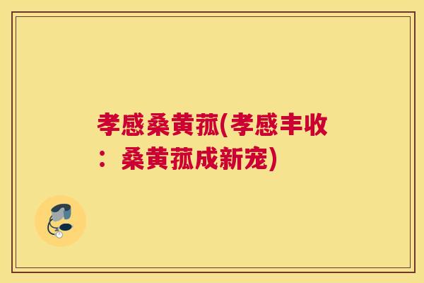 孝感桑黄菰(孝感丰收:桑黄菰成新宠) 孝感桑黄菰(孝感丰收:桑黄菰成新宠)